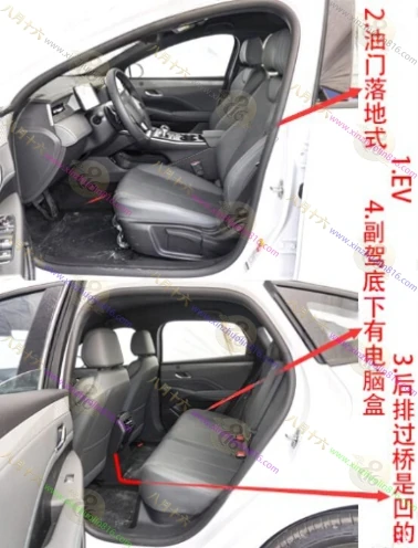 秦PLUS