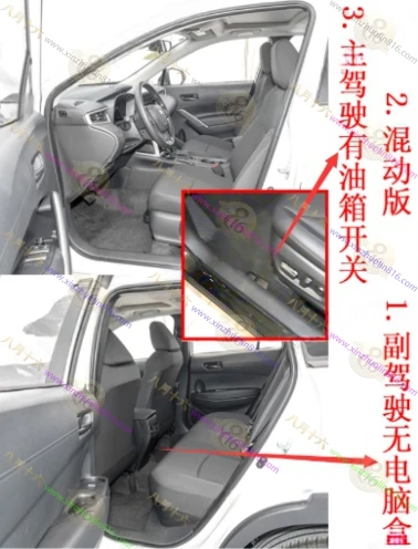 卡罗拉锐放