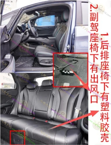 海豚