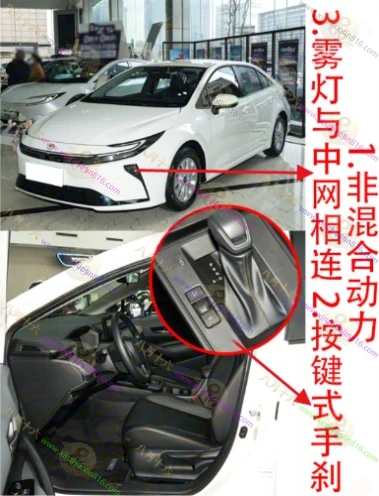 卡罗拉
