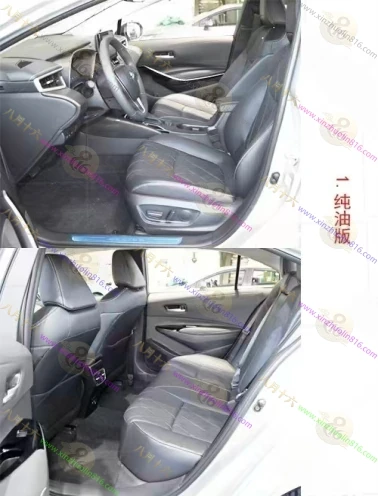 亚洲狮