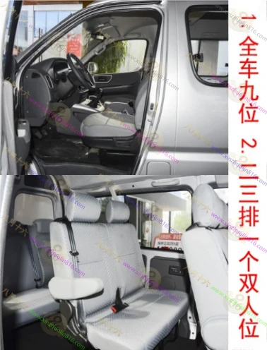 金杯海狮王