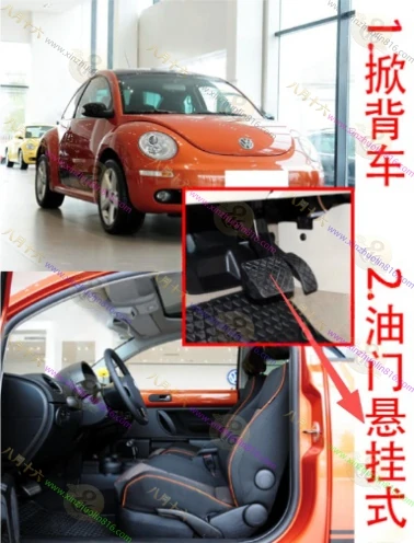 甲壳虫
