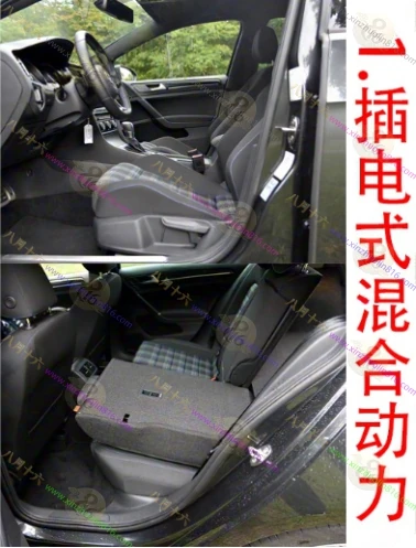高尔夫新能源（进口）