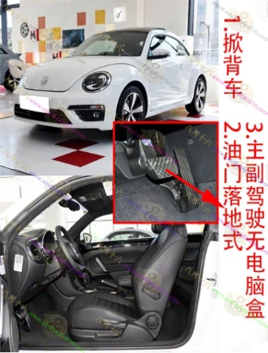 甲壳虫