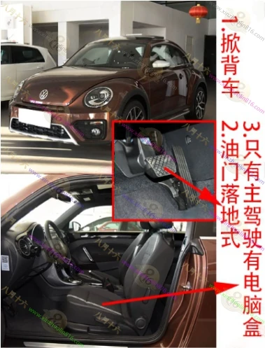 甲壳虫
