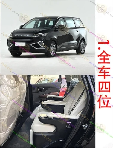 远志M1
