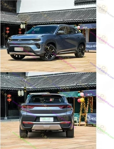 大蚂蚁