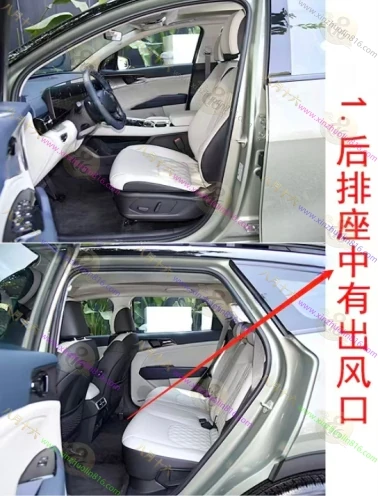 狮铂拓界